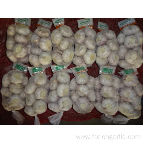 Normal White Garlic Fresh New Crop 2019